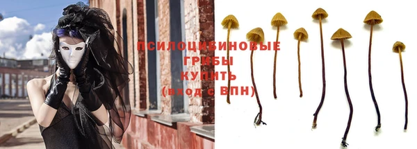 прущие крисы Липки