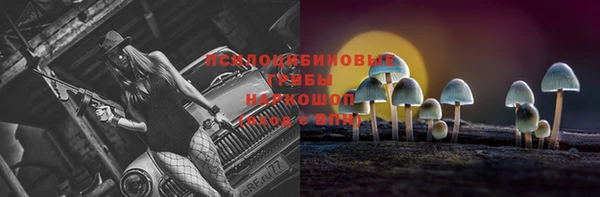 винт Дмитров