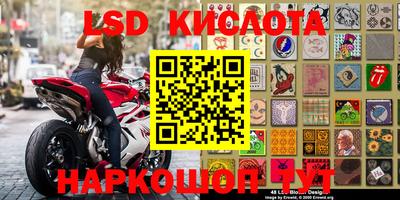 амф Донской