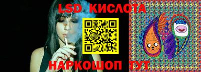 амф Донской