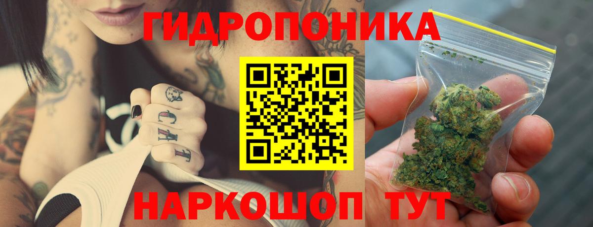 МАРИХУАНА сатива  Бошки Шишки гибрид  Вход с VPN  Шишки марихуана план  Кстово 